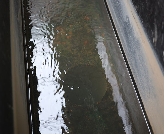 气浮机除磷效果好吗？